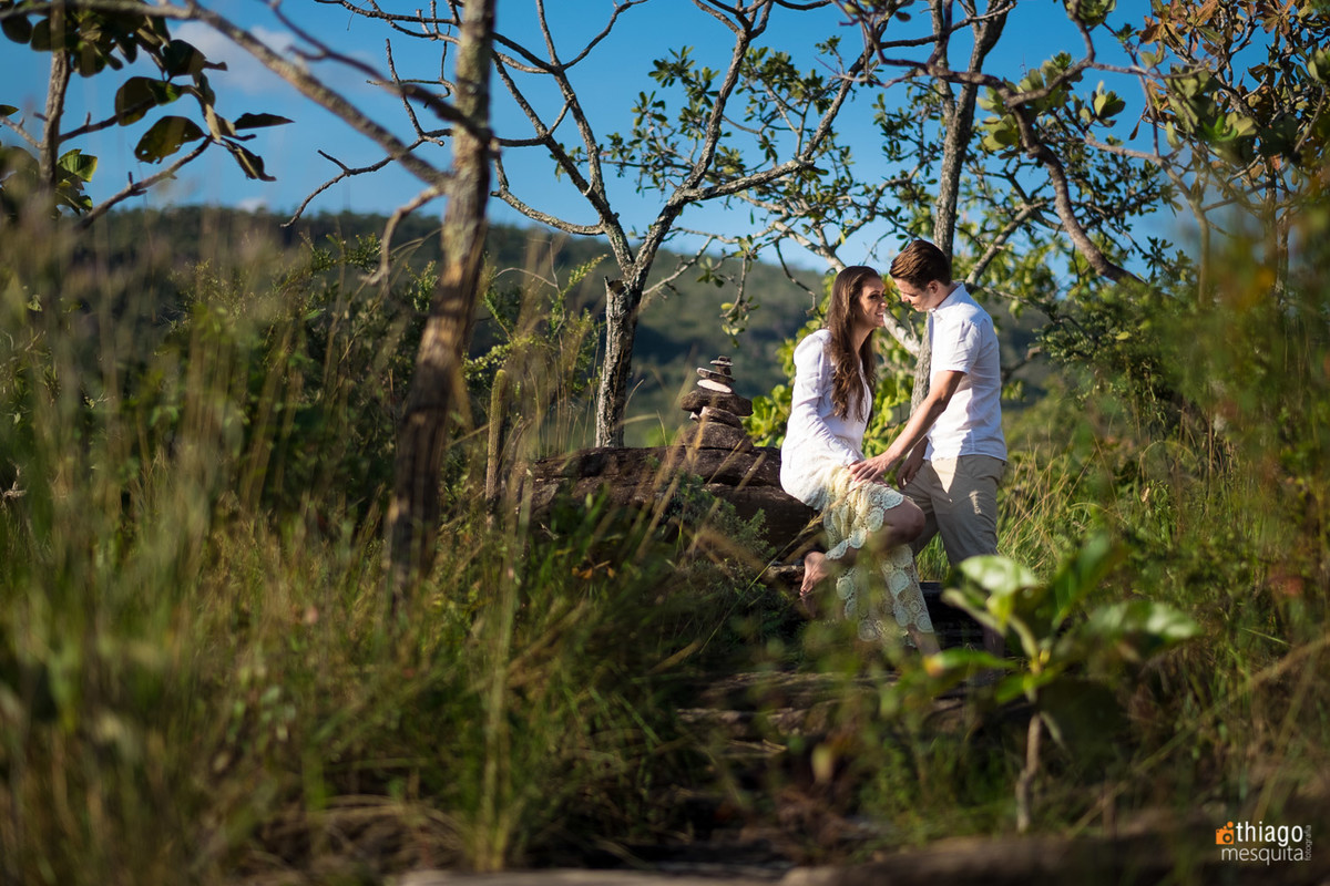 cerrado de pirenopolis goias, linda vegetação característica